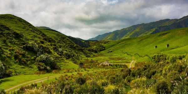 Escapade près de Wellington en Nouvelle-Zélande : Battle Hill Farm Forest Park