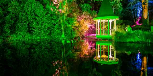 Wellington : The Gardens Magic, un événement à ne pas louper